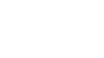 light logo